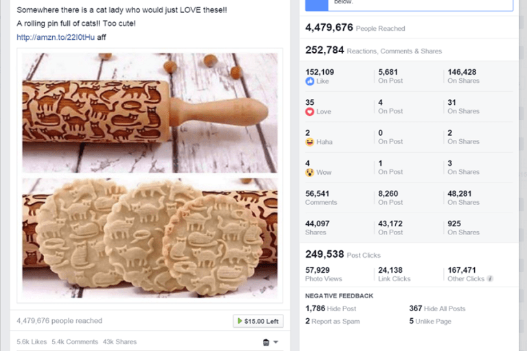 Viral Facebook Marketing Blueprint w/ Rachel Miller